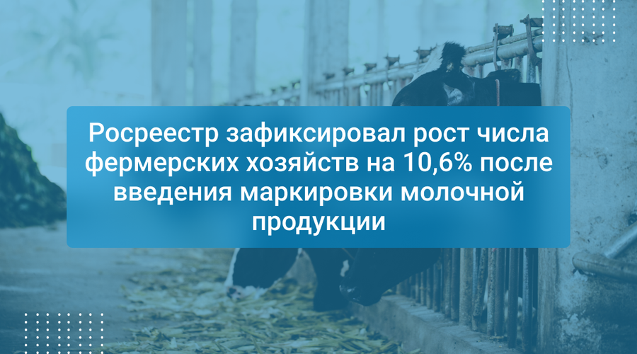 Росреестр зафиксировал рост числа фермерских хозяйств на 10,6% после введения маркировки молочной продукции