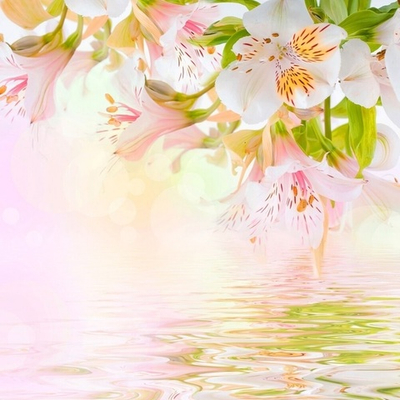 Практический Интенсив «Путь Физического Мастерства» Часть 28