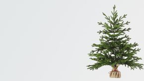 Настольные искусственные ёлки