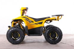 Квадроцикл GreenCamel Гоби K90 (48V 750W R7 Дифф) LUX Bluetooth