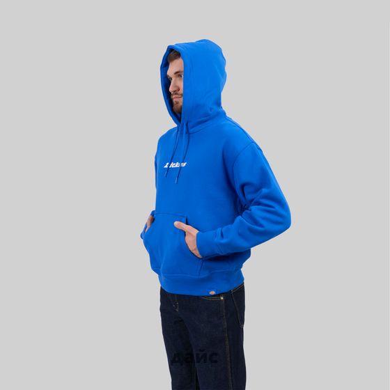 Толстовка мужская Dickies Enterprise Hoodie артикул:DK0A4Z2NJ531 - купить в магазине Дайс