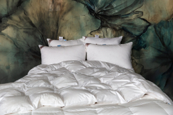 Одеяло теплое 200х200 German Grass Royal Down Grass