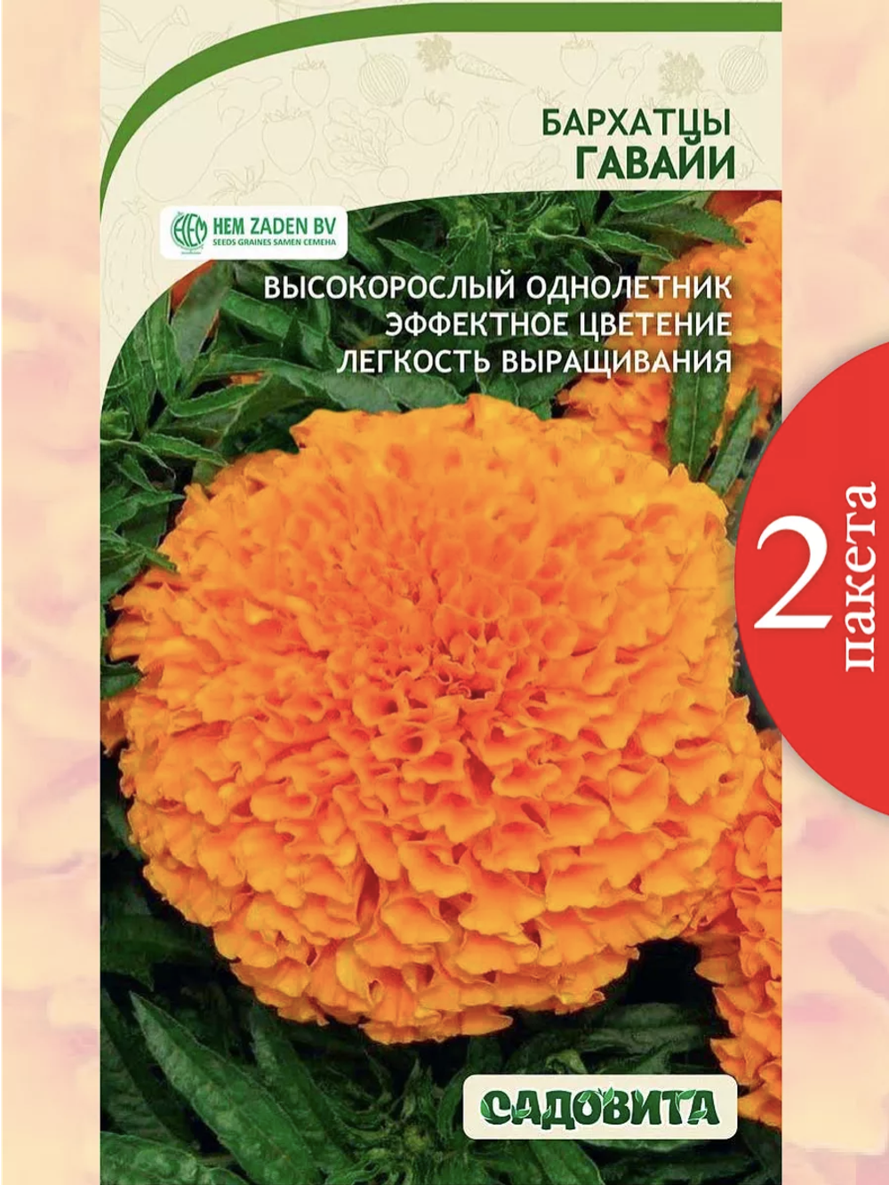 загруженное (1)