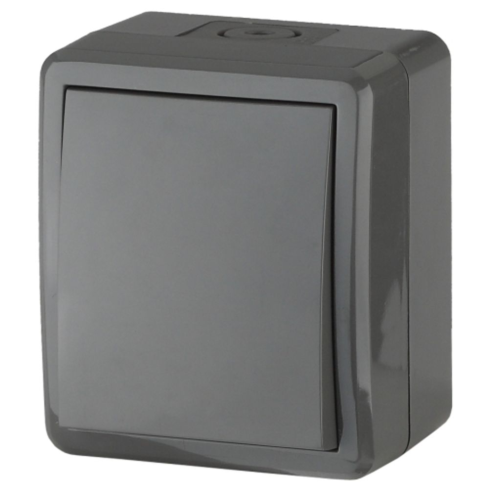 Переключатель ЭРА Эксперт 11-1403-03 IP54 10АХ-250В ОУ серый | Эра Эксперт