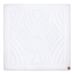 Одеяло легкое 200х200 Brinkhaus Climasoft