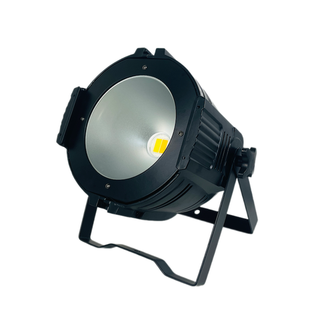 Прожектор белого света PL COB 200w CWW