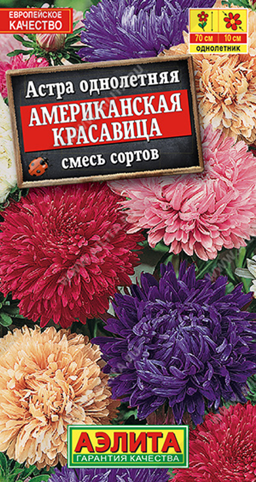 Астра Американская красавица 0,2гр Аэлита