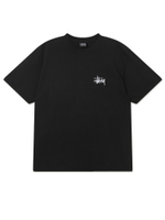 Мужская Футболка Basic Stussy Pig. Dyed