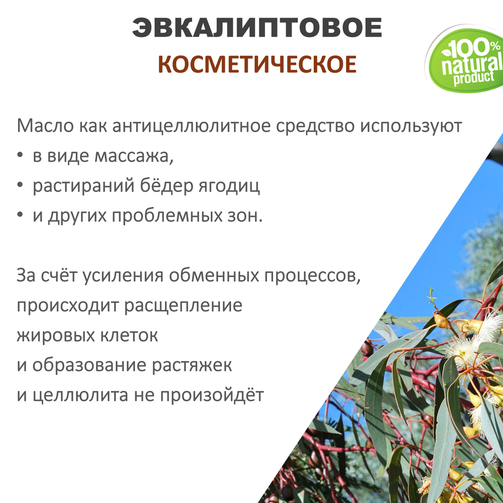 Эвкалиптовое масло, косметическое, 100 мл