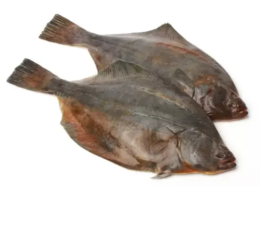 Камбала с/м н/р ж/п М (0,2-0,3) ДВ "РКЗ Командор-Инвест"1/22кг