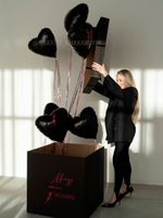 Воздушные шары №5225