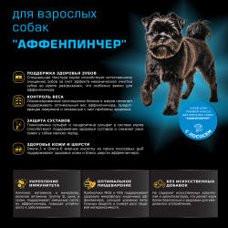 Корм сухой для взрослых собак породы Аффенпинчер, с лососем, 2,5 кг, QUATTRO