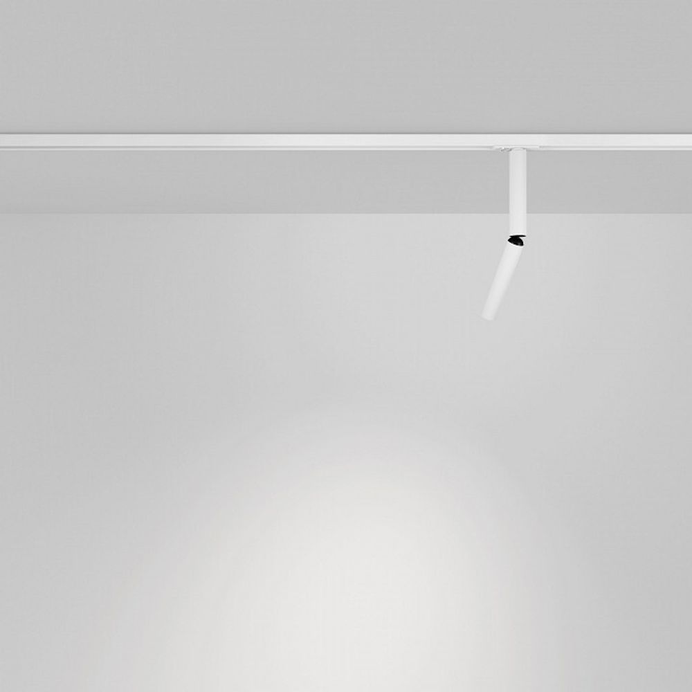 Светильник на штанге Maytoni Focus T TR142-1-6W4K-W