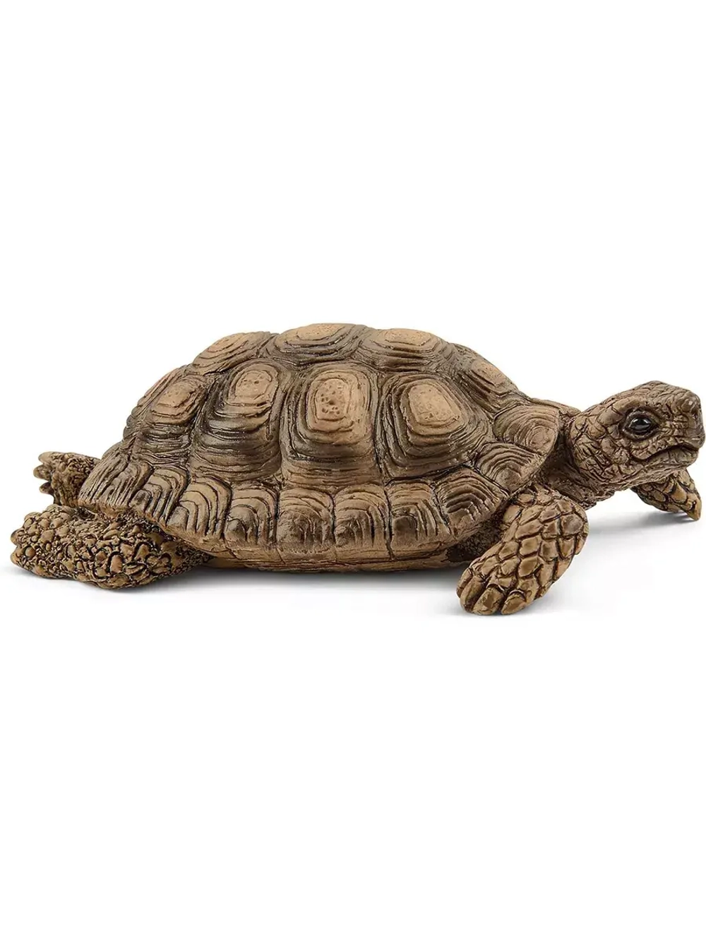Набор Домик для черепах Schleich 42506