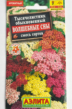 Тысячелистник Волшебные сны, смесь сортов СМЦ-946