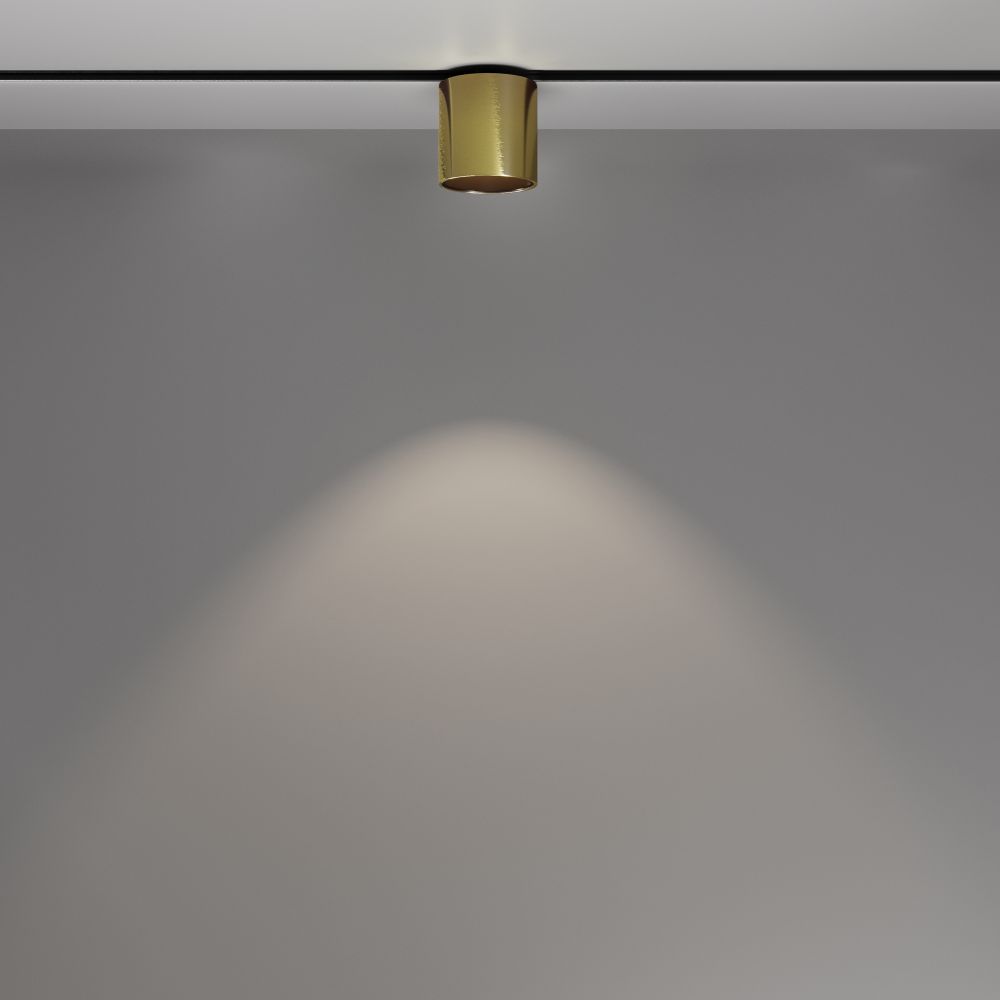 Трековый магнитный светодиодный светильник Maytoni   TR132-2-7W4K-BS