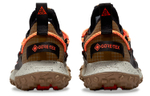 Nike Acg Mountain Fly Low Gtx Se "Hazel Rush"