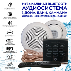 Комплект влагостойкой акустики для бани, сауны и хамама - SW 2 Black ECO(черный)