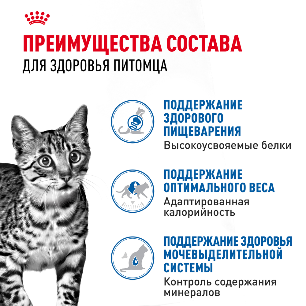 Royal Canin Indoor Sterilized Индор стерилайзд Корм влажный для стерилизованных кошек живущих в помещении желе 85г