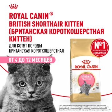 Royal Canin Kitten British Shorthair для Британских котят