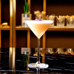 Рюмка коктейльная 230 мл Мартини хр. стекло "Shanghai Soul" d 11,7 см h18,1 см Lucaris [6]