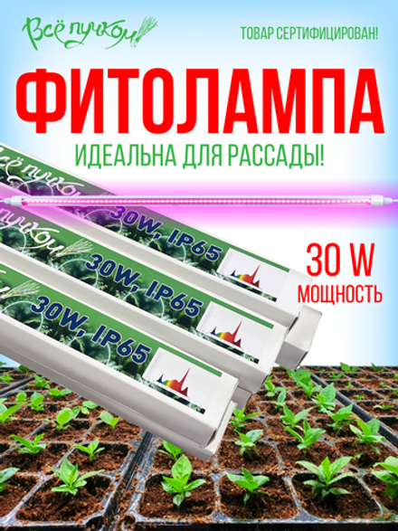 Фитолампа для рассады