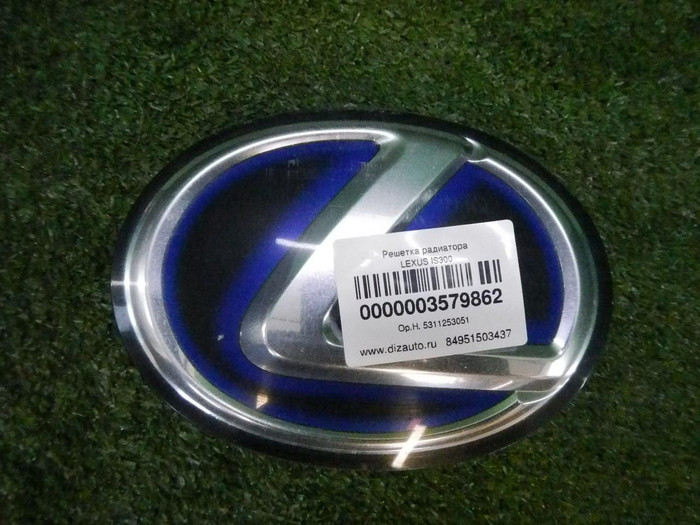 DSCN7406.jpg