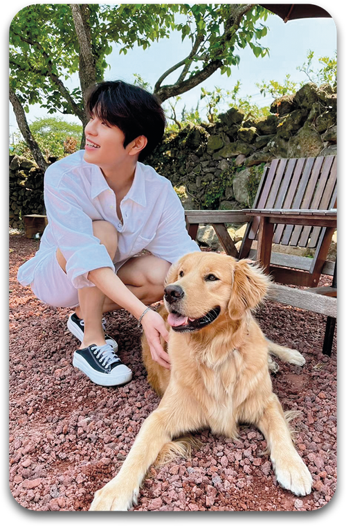 Карта / STRAY KIDS #1165