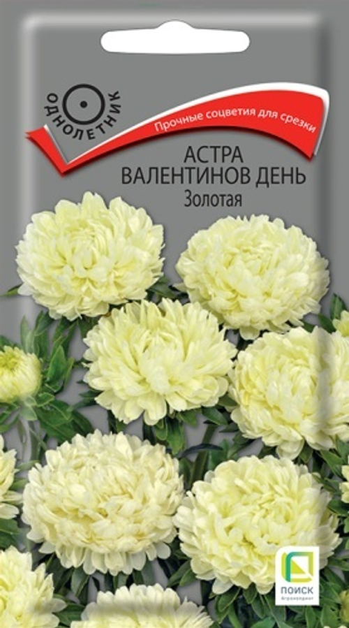 Астра Валентинов день Золотая 0,2гр Поиск
