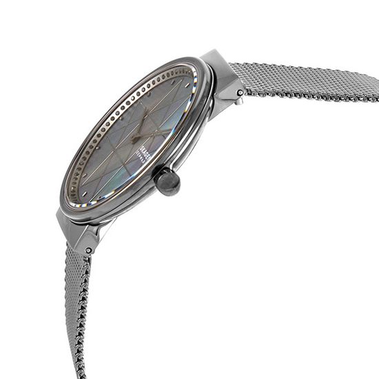 Женские часы Skagen SKW2832