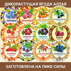 Тополь черный почки.