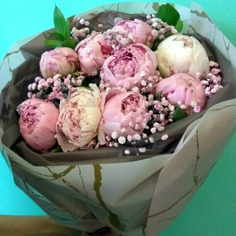 Букет 9 пионов Сара Бернар с гипсофилой