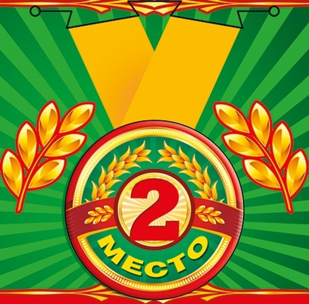 Медаль "За 2 место"