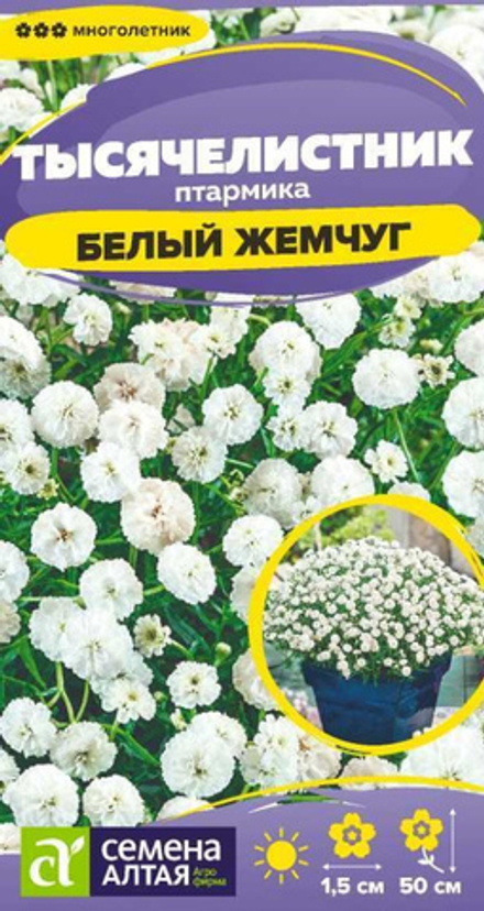 Тысячелистник Белый жемчуг/Сем Алт/цп 0,05 гр