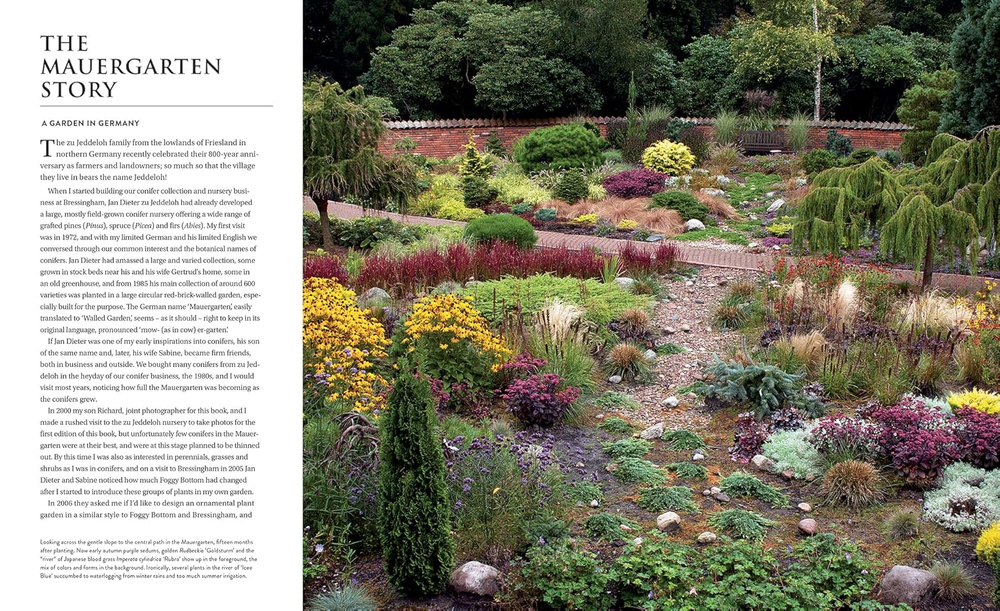 Gardening with conifers