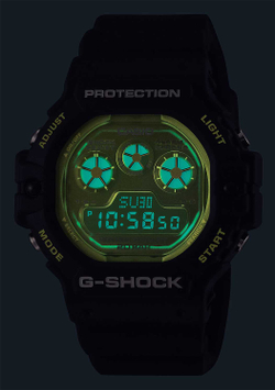 Часы Casio DW-5900TS-1