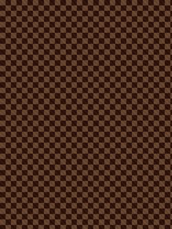 Наволочка комплект 2шт Сказка "Roger" 40х60 см, поплин