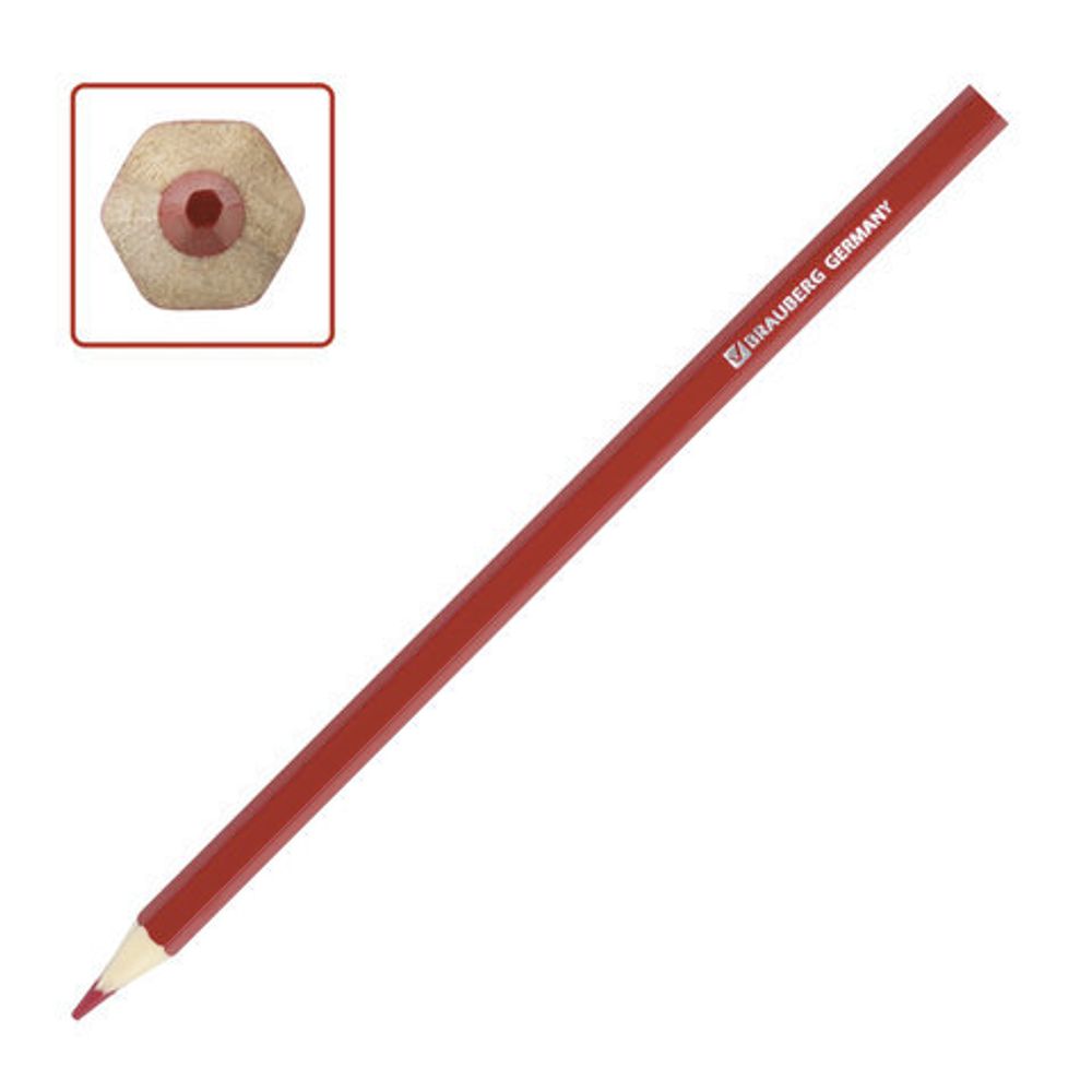 Карандаши цветные BRAUBERG "Wonderful butterfly", 6 цветов, заточенные, картонная упаковка с блестками, 180522