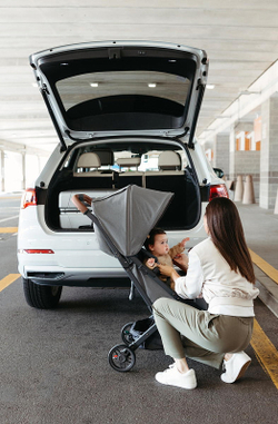 Прогулочная коляска UPPAbaby MINU V2 Greyson