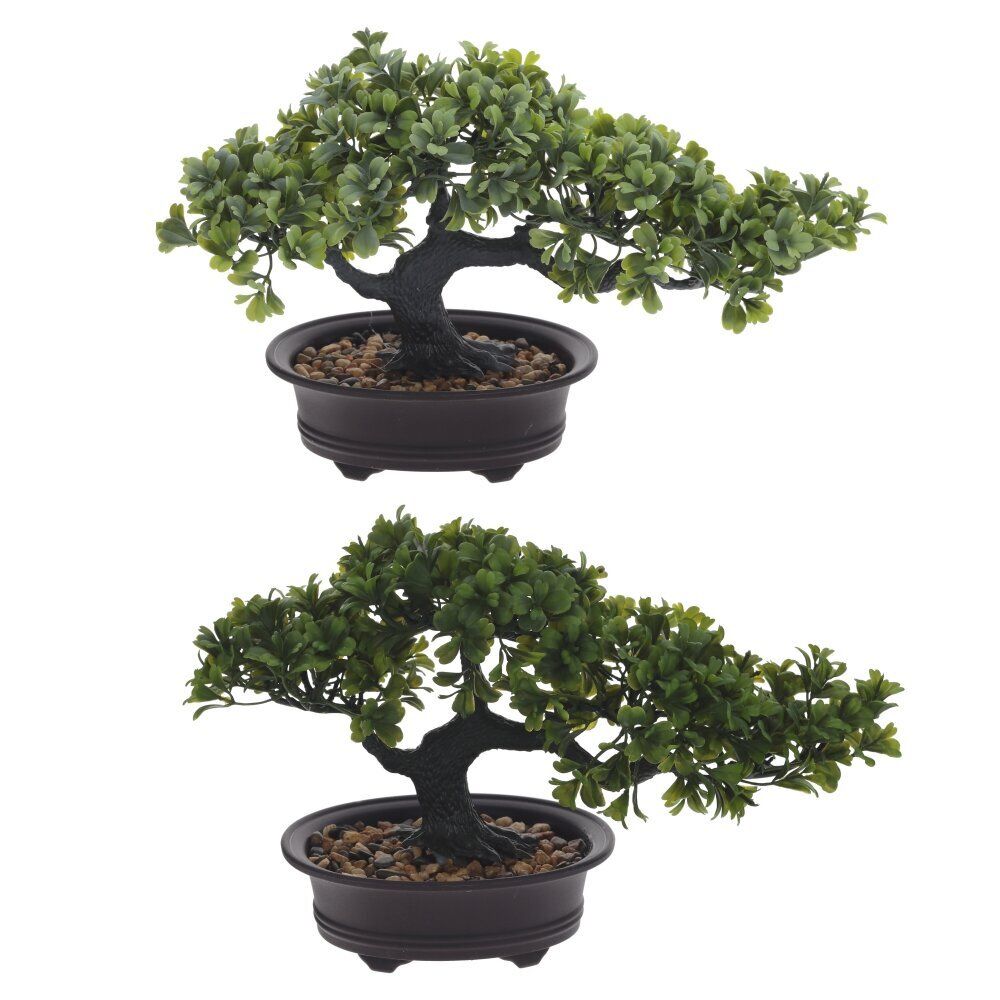 GAEM Цветочная композиция "Бонсай", L32 W13 H19 см, 2в.