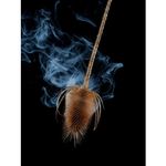 Генератор дыма Falcon Eyes Smoke 30