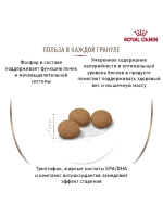 ROYAL CANIN Ageing Sterilised 12+ (Роял Канин Эйджинг Стерилайзд 12+) сухой корм для кошек 4кг