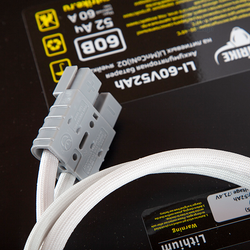 Литиевый Аккумулятор RuTrike (MnCoNi) 60V52A/H