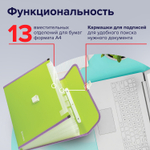 Папка-портфель пластиковая BRAUBERG "JOY" А4 (330х245х35 мм) 13 отделений с окантовкой салатовая (2 штуки в упаковке)