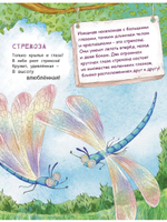 В небе и на земле