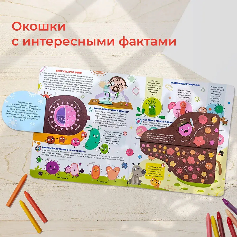 Вирусы и бактерии