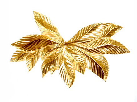 Букет лавра