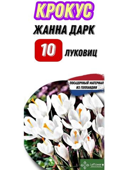 Крокус Луковица, Жанна Дарк, 10шт