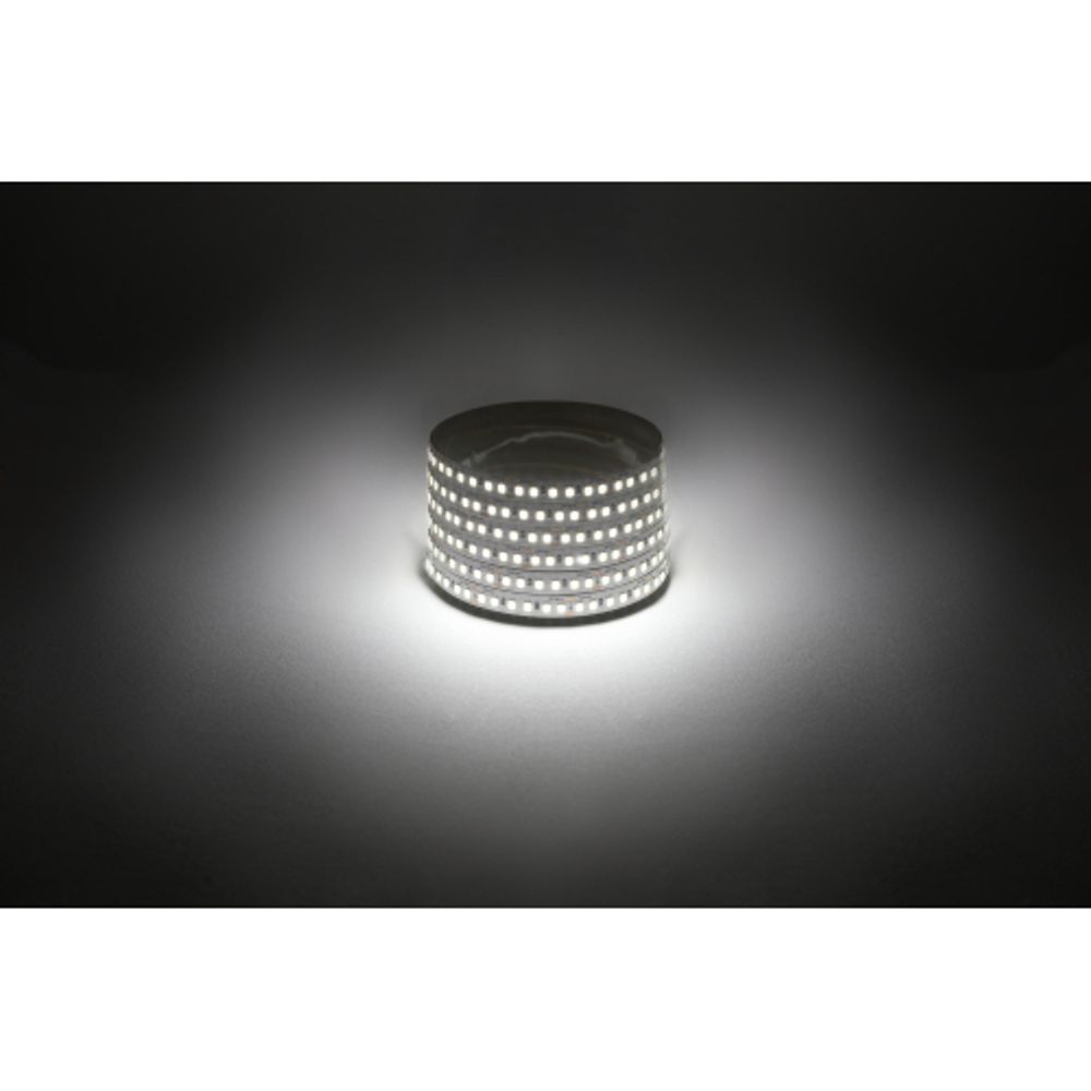 Светодиодная лента ЭРА LS2835 -14,4-180-12-4000K-IP20-1 year-5m дневной белый 5м | Светодиодные ленты 12В 1 год