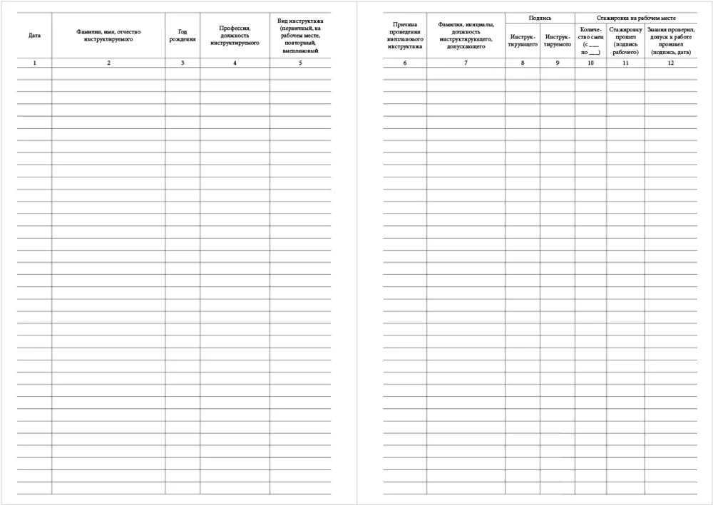 Журнал регистрации инструктажа на рабочем месте 12 граф 60 страниц мягкая обложка